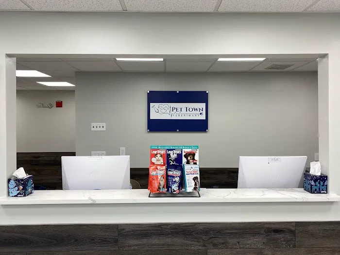 Pet Town Veterinary Picture 1