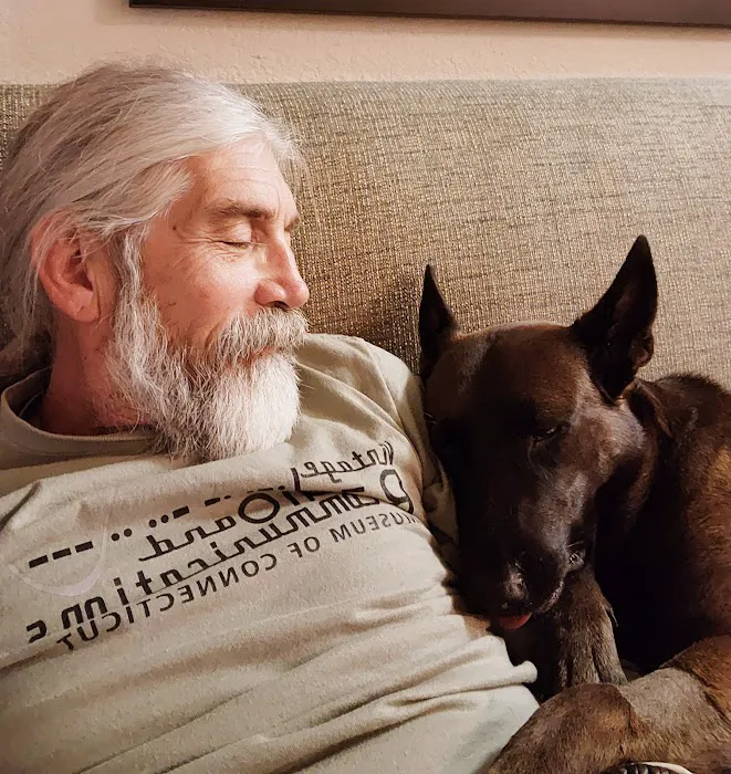 Pet Town Veterinary Picture 5