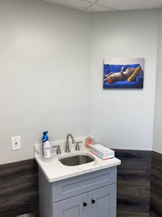 Pet Town Veterinary Picture 7