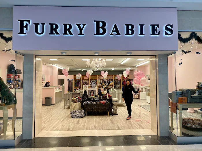 Furry Babies - Lombard Picture 9