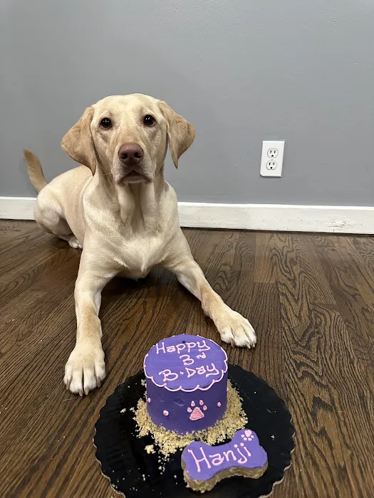 It's So Fluffy Pet Bakery Picture 4