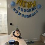 It's So Fluffy Pet Bakery