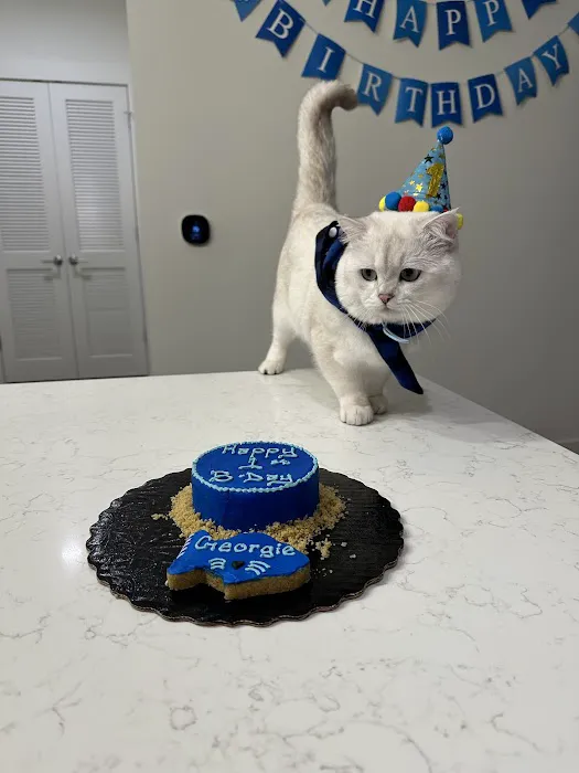 It's So Fluffy Pet Bakery Picture 2