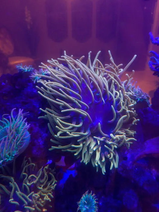 The Little Reef Shop Picture 4