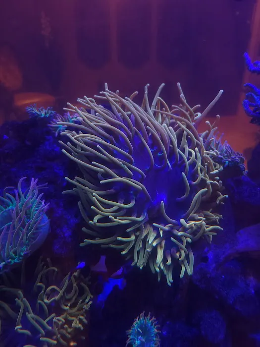 The Little Reef Shop Picture 3