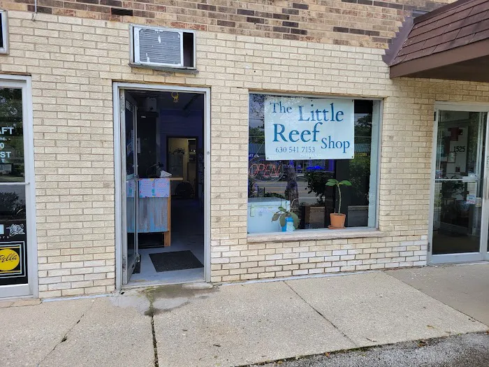 The Little Reef Shop Picture 9