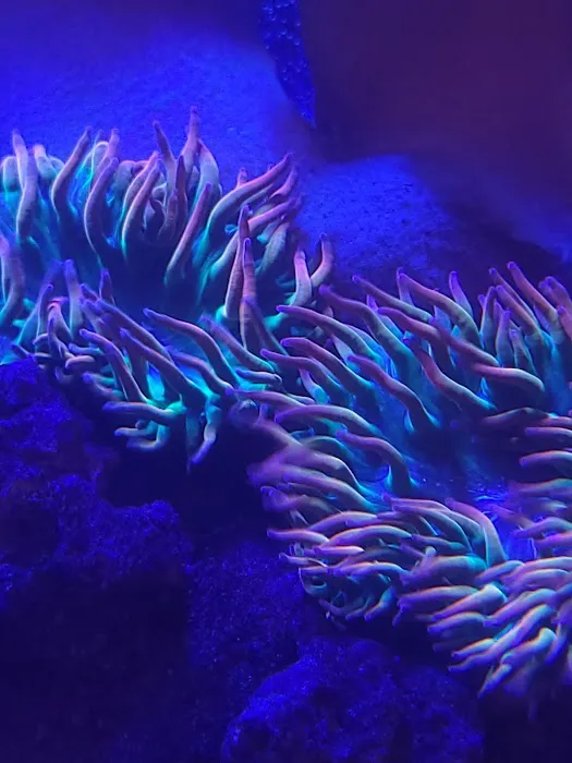 The Little Reef Shop Picture 2