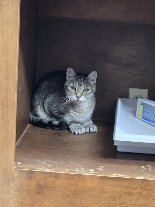 Burlington Veterinary Center Picture 6