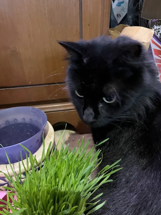 Burlington Veterinary Center Picture 7