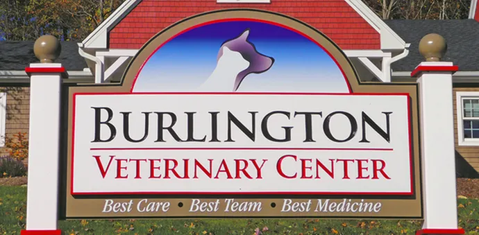 Burlington Veterinary Center Picture 10