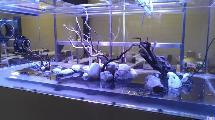 Aquariums Done Wright (Aquarium Service) Picture 1