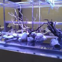 Aquariums Done Wright (Aquarium Service) ico