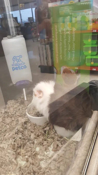 Petco Picture 7