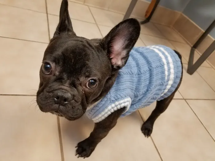 Trumbull Animal Hospital Picture 8