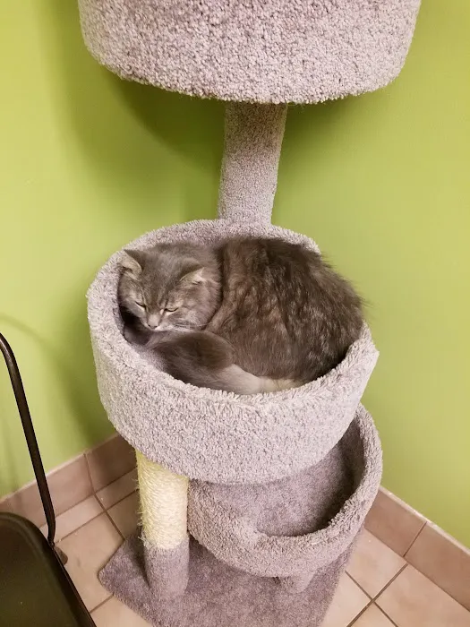 Trumbull Animal Hospital Picture 5