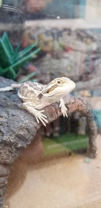 Petco Picture 2