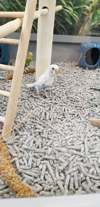 Petco Picture 3
