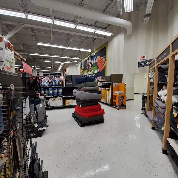 Petco Picture 8