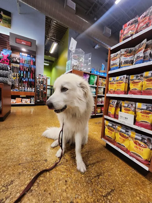 Kriser's Natural Pet Picture 3