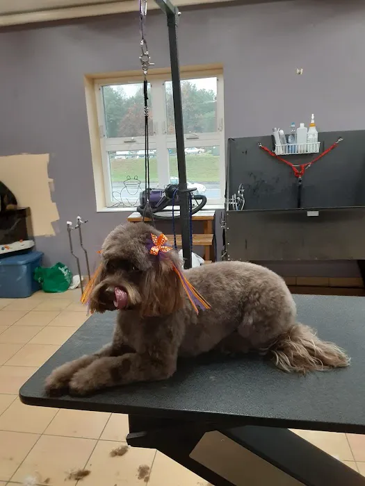 Reid Veterinary Center Picture 3