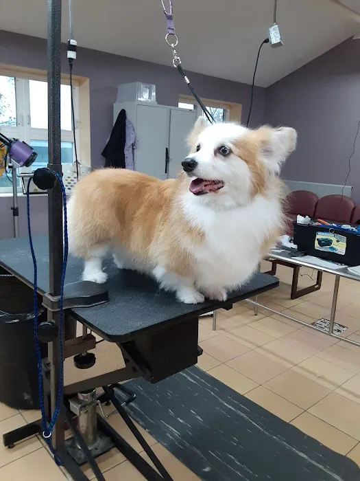 Reid Veterinary Center Picture 5