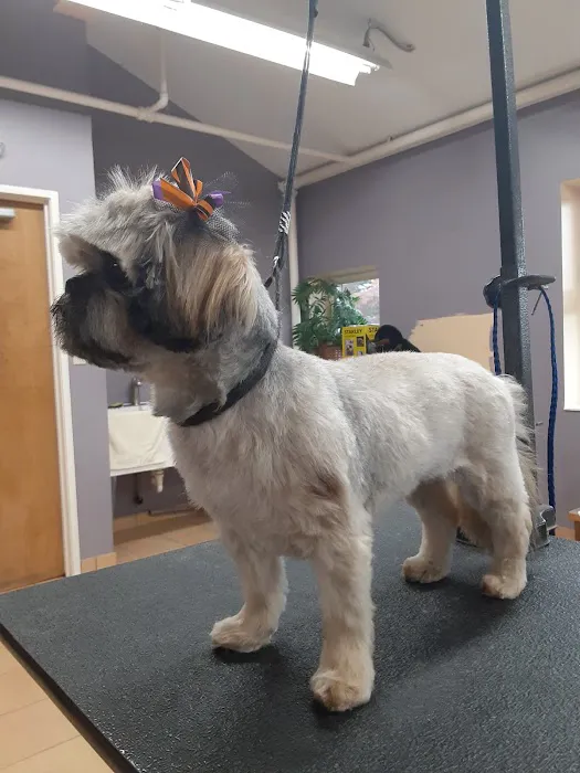 Reid Veterinary Center Picture 4