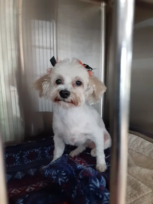 Reid Veterinary Center Picture 2