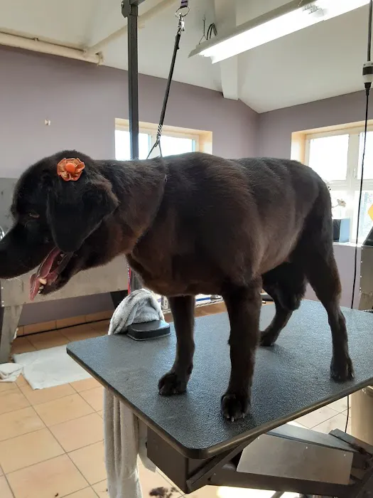 Reid Veterinary Center Picture 6