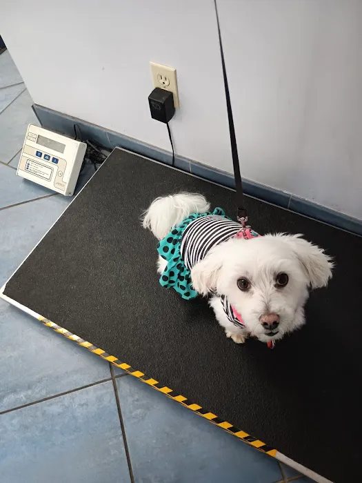 Reid Veterinary Center Picture 8