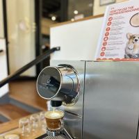 Barktique ico