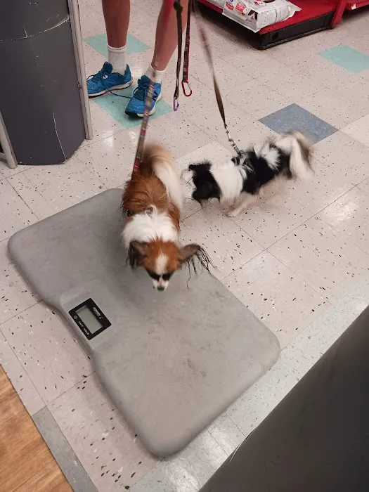 Petco Picture 5