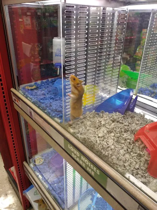 Petco Picture 10