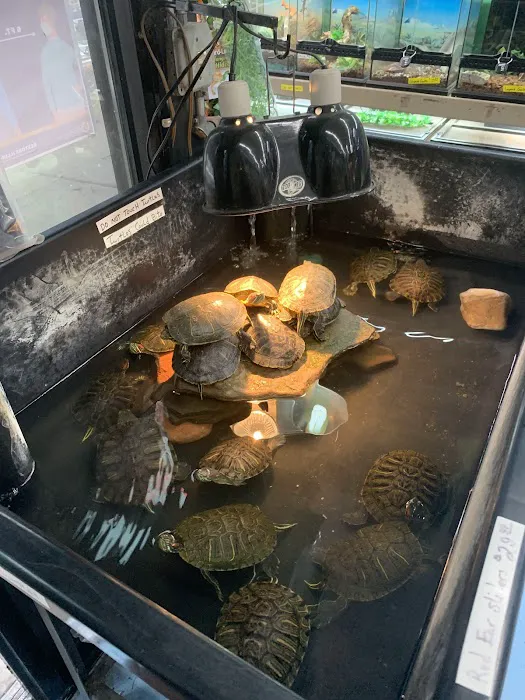 Jules Pet Shop Picture 1