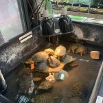 Jules Pet Shop