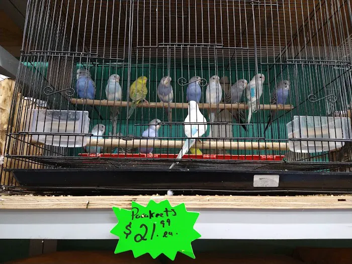 Jules Pet Shop Picture 5