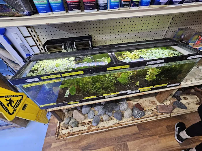 Jules Pet Shop Picture 4