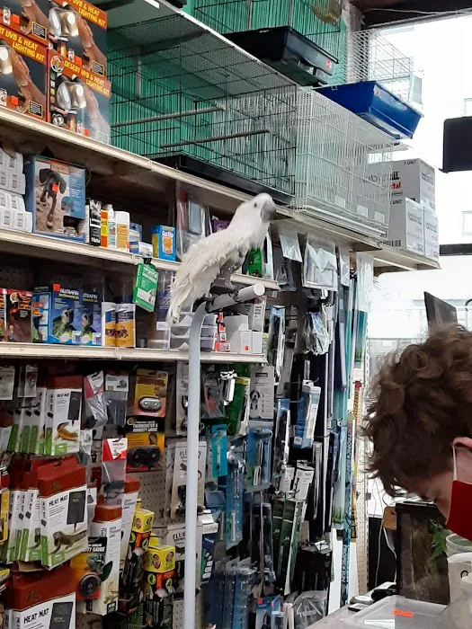 Jules Pet Shop Picture 7
