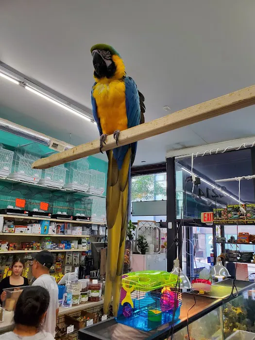 Jules Pet Shop Picture 9