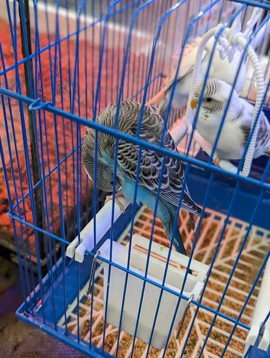 Jules Pet Shop Picture 10