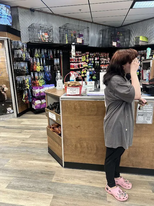 Pat's Pets Picture 8