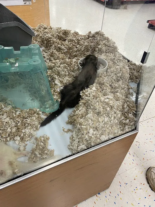 Petco Picture 9