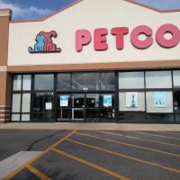 Petco ico