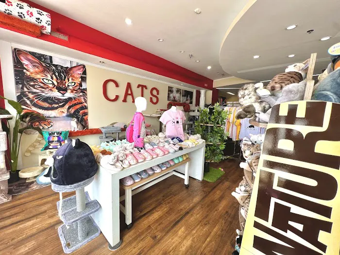 Kitty Citty Shoppe Picture 1