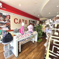 Kitty Citty Shoppe ico