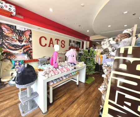 Kitty Citty Shoppe