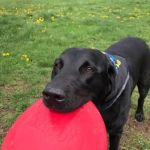 Monroe Town and Country Veterinary Hospital