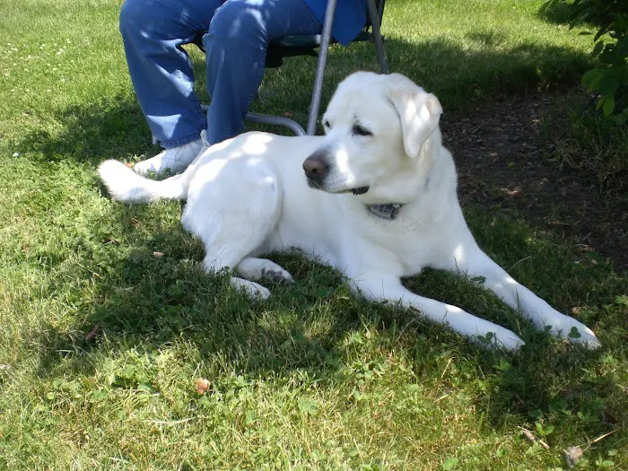 Monroe Town and Country Veterinary Hospital Picture 5