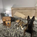 Butcher's Bounty Pet Treats