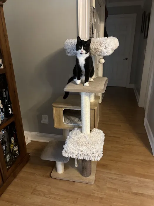 Value Pet Vet Picture 5