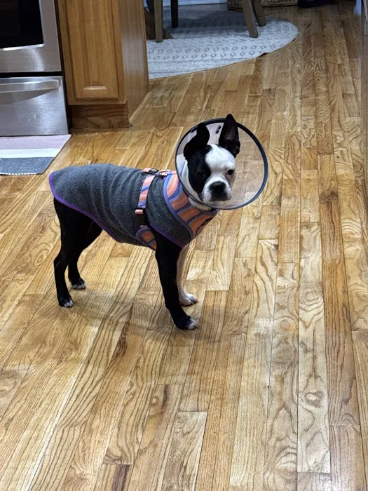 Value Pet Vet Picture 6